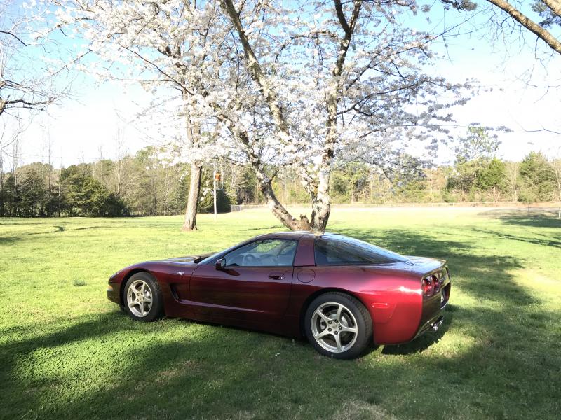 2003 Corvette for sale South Carolina