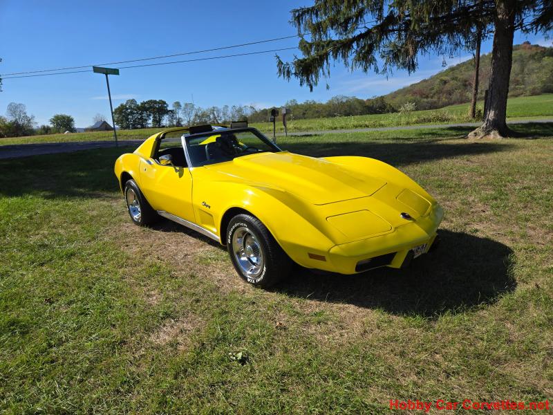 1976 Yellow Corvette For Sale