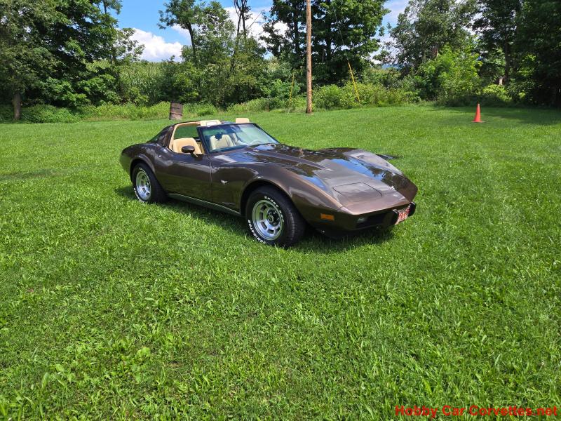 1979 Brown L82 4spd Corvette 1979 Brown L82 4spd Corvette