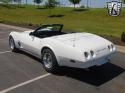 Corvette picture 1100b.jpg