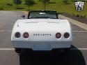 Corvette picture 1100c.jpg