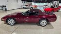 Corvette picture 2465u.jpg