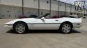 Corvette picture 3065g.jpg