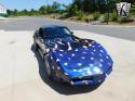 Corvette picture 459ll.jpg