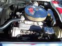 Corvette picture 630fd43cf05b536b0f091b3f_t6.jpg
