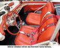 Corvette picture 94267_4.jpg