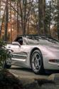 Corvette picture dsc00315.jpg