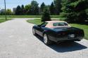 Corvette picture dsc_0184.jpg