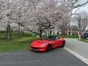 Corvette picture img_3614.jpeg