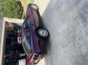 Corvette picture img_9388.jpeg